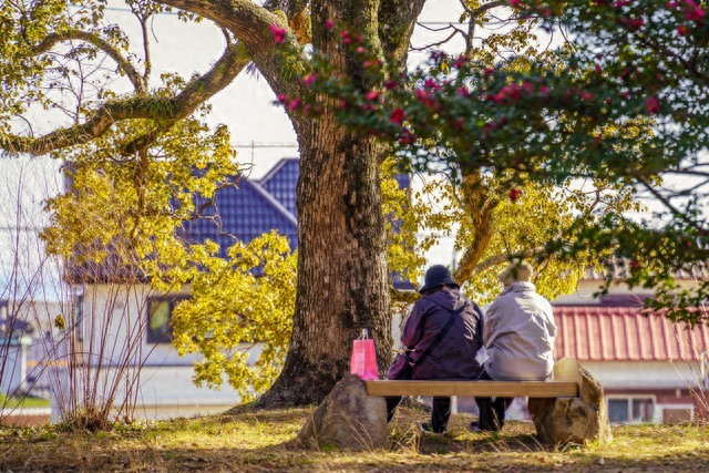 你是否留意到，在乡村地区，那些拥有数十万元存款的人，绝大多数是以下这些人？-柠檬资源分享网