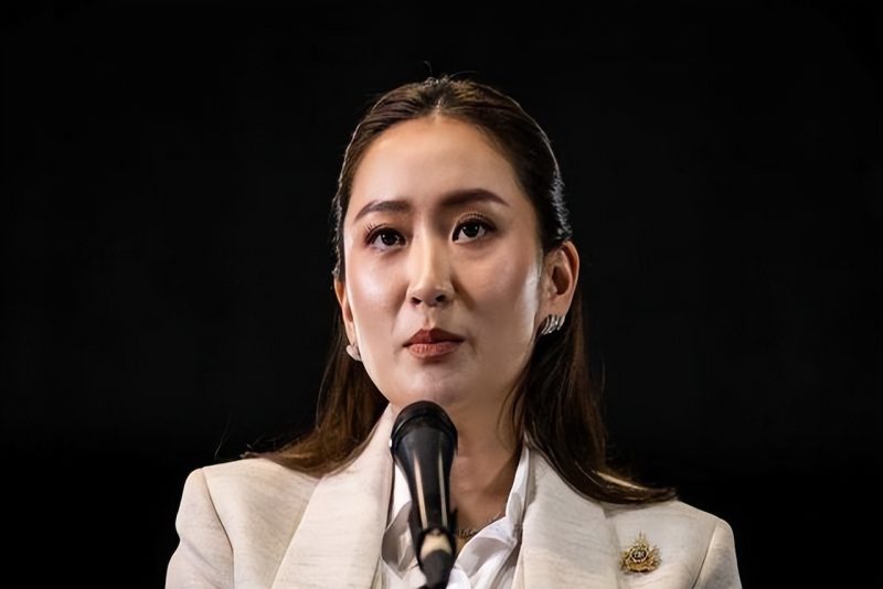 他信重出江湖！对洪森发起猛烈批评，随即泰国外交部长访问王毅，正式表达感激之情-蜗牛资源分享网