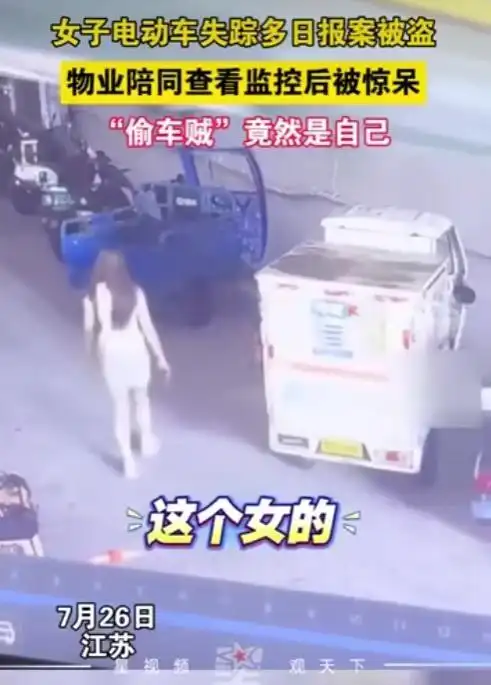 近日，一位女士在家中遭遇了一件令人匪夷所思的事情——她的电动车被盗。然而，令人震惊的是，偷车贼竟然是她同住的一名女子。-春天资源分享网