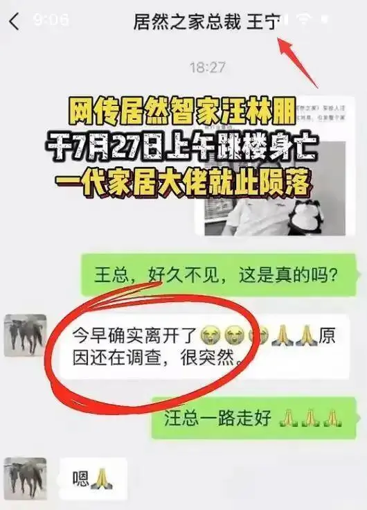 智家居然宣布董事长汪林朋不幸离世，面临7000名员工和高达百亿的债务，究竟将由何人接手公司重任？-春天资源分享网
