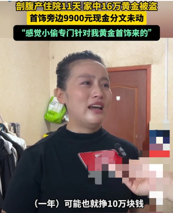 产后女子住院期间金饰失窃，价值高达16万元-春天资源分享网