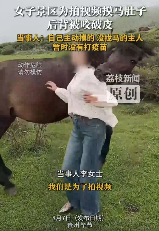 游客景区抚摸马匹腹部遭咬伤-春天资源分享网